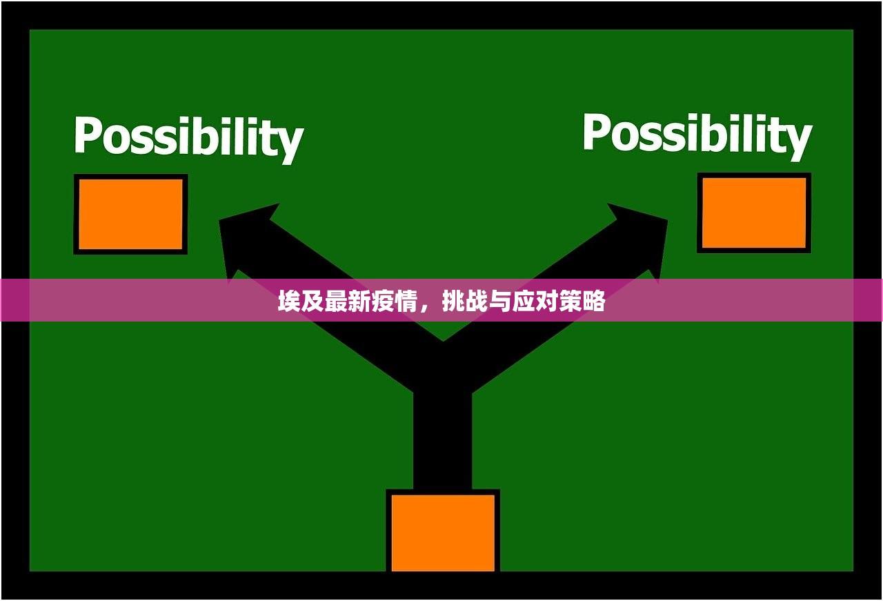 埃及最新疫情，挑战与应对策略