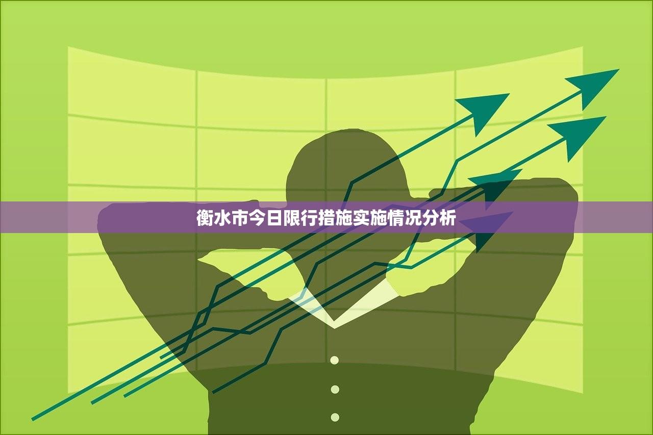 衡水市今日限行措施实施情况分析