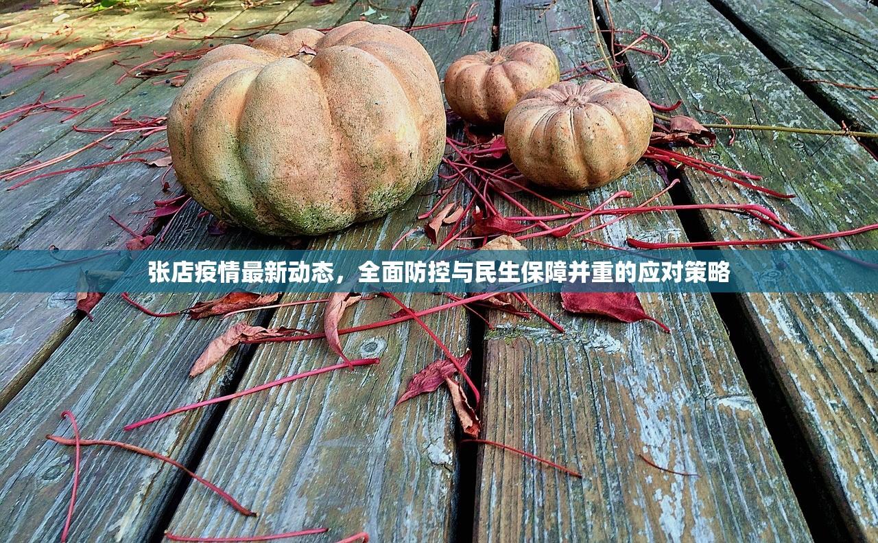 张店疫情最新动态，全面防控与民生保障并重的应对策略