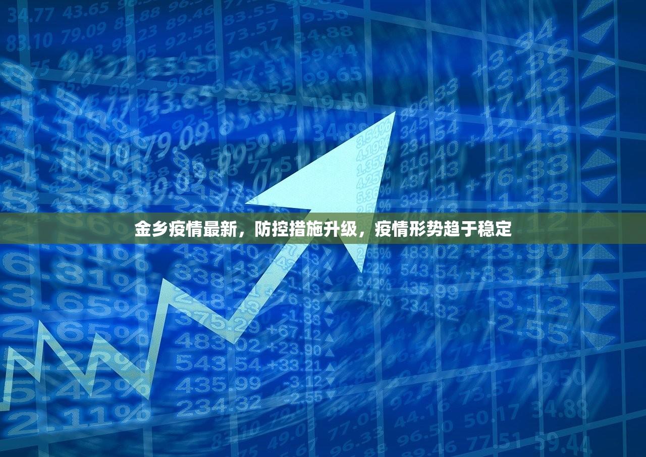 金乡疫情最新，防控措施升级，疫情形势趋于稳定