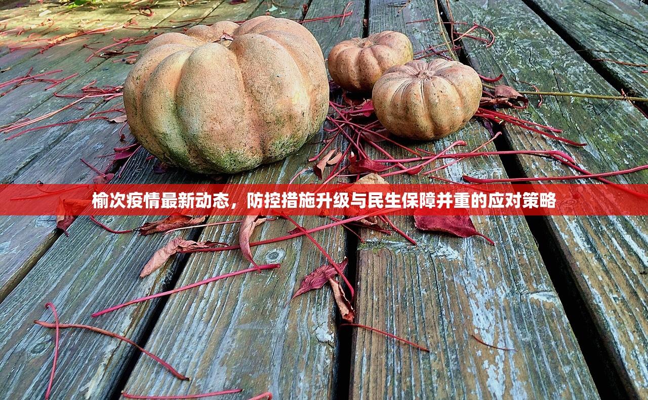 榆次疫情最新动态，防控措施升级与民生保障并重的应对策略