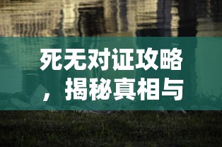 死无对证攻略，揭秘真相与策略的智慧