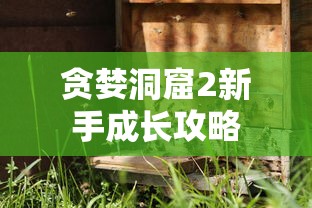 贪婪洞窟2新手成长攻略