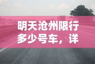 明天沧州限行多少号车，详解限行政策与出行建议