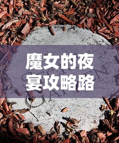 魔女的夜宴攻略路线，解锁神秘世界的钥匙