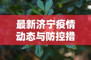 最新济宁疫情动态与防控措施分析