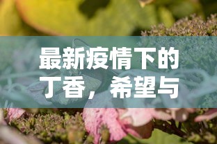 必看教程“微信金花链接版有房卡”获取房卡方式