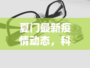 夏门最新疫情动态，科学防控，共筑安全防线