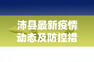 北京车号限行政策详解，历史沿革、实施细节与影响分析