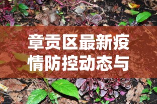 章贡区最新疫情防控动态与应对策略