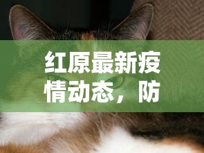 湖南今天最新疫情，科学防控下的稳定局面与民众生活