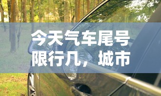 今天气车尾号限行几，城市交通管理的智慧与平衡