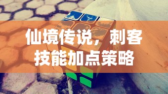 仙境传说，刺客技能加点策略