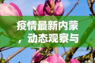 三分钟了解!微信牛牛房间房卡链接怎么买”(详细分享开挂教程)