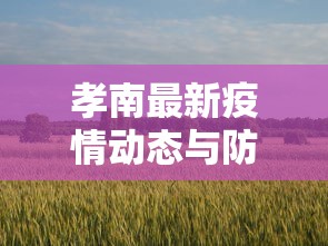 孝南最新疫情动态与防控措施