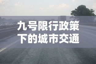 九号限行政策下的城市交通优化与公众出行调整