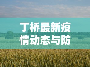 丁桥最新疫情动态与防控措施