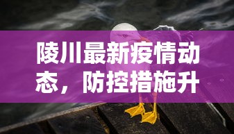 陵川最新疫情动态，防控措施升级，居民生活逐步恢复正常