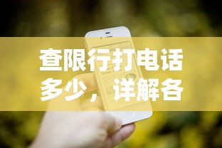 查限行打电话多少，详解各地交通限行政策及查询电话