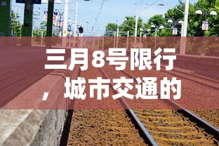 三月8号限行，城市交通的新常态与市民生活的影响