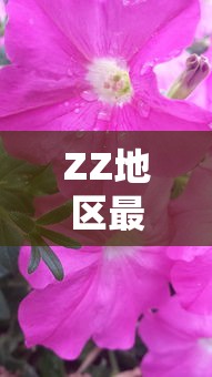 ZZ地区最新疫情动态及防控措施综述