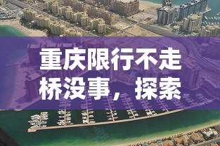 重庆限行不走桥没事，探索城市出行新策略