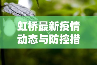 虹桥最新疫情动态与防控措施分析