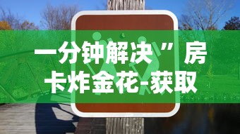 最新疫情安化，科学防控与人文关怀并重的应对策略