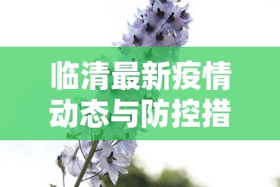 临清最新疫情动态与防控措施综述