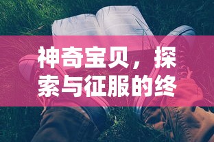 神奇宝贝，探索与征服的终极攻略