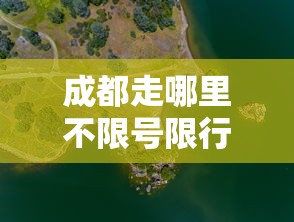 成都走哪里不限号限行，探索城市绿色出行的无限可能