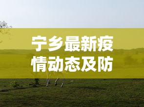 宁乡最新疫情动态及防控措施综述