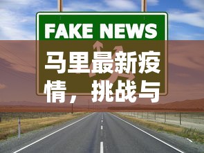 最新荆门疫情，防控措施与民生保障的双重挑战