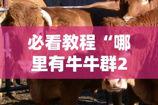 必看教程“哪里有牛牛群24小时有人-链接教程