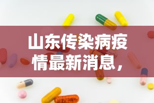 山东传染病疫情最新消息，科学防控，共筑健康防线