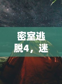 密室逃脱4，迷失森林全攻略——探索未知，智慧解谜