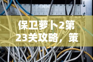 深圳疫情最新报告，精准防控下的城市复苏与民生保障