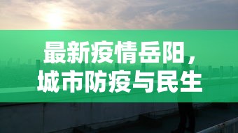 最新疫情岳阳，城市防疫与民生保障的双重挑战