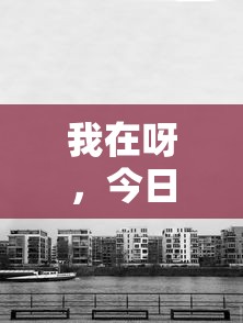 我在呀，今日北京限行——一场关于城市生活与环保的深思