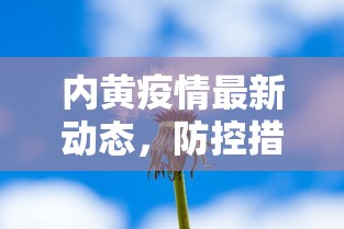 内黄疫情最新动态，防控措施升级与民生保障并行