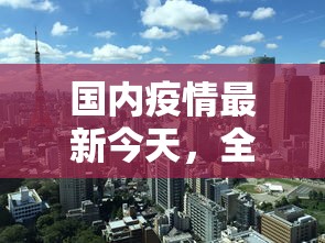 国内疫情最新今天，全面分析与展望