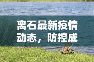 6分钟了解“微信链接炸金花好友房”获取房卡方式