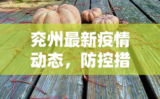 兖州最新疫情动态，防控措施与民生保障并重