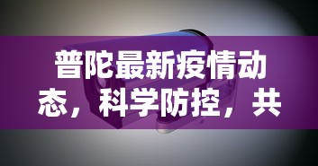 普陀最新疫情动态，科学防控，共筑安全防线