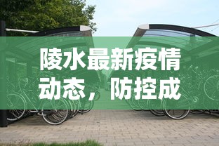 陵水最新疫情动态，防控成效显著，居民生活逐步恢复正常