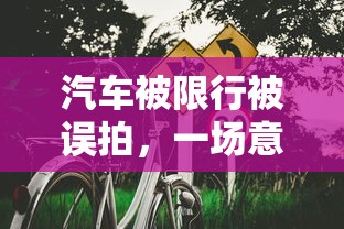 汽车被限行被误拍，一场意外的交通风波