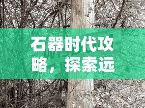 石器时代攻略，探索远古文明的生存智慧