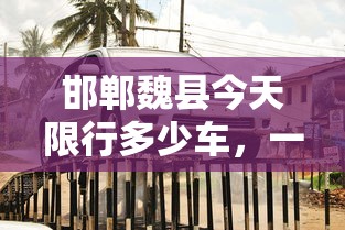 邯郸魏县今天限行多少车，一场关于交通管理与城市发展的深度探讨