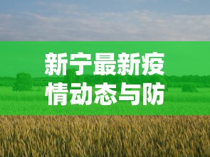 新宁最新疫情动态与防控措施