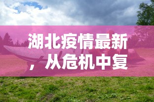 7分钟了解“微信链接炸金花房卡怎么购买”获取房卡教程